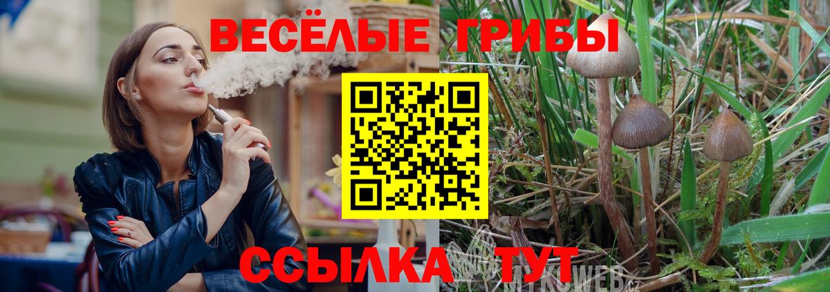 Ипатово  Псилоцибиновые грибы ЛСД  Вход с VPN  Галлюциногенные грибы прущие грибы 
